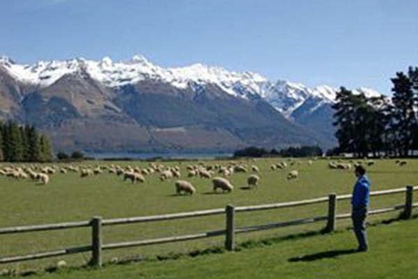 What do ski instructors do in the summer?